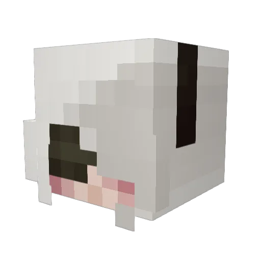EndlessRoaR Minecraft avatar head, 3D render