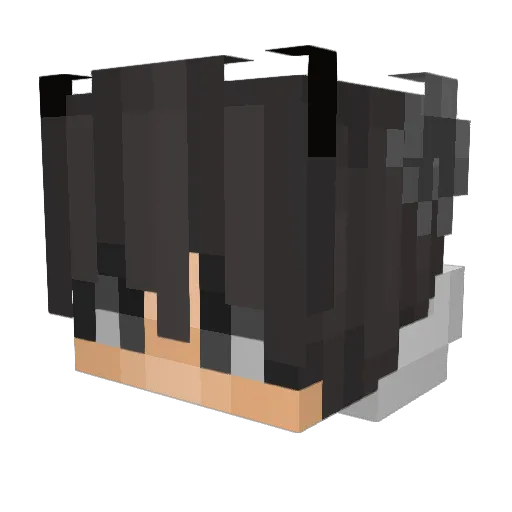 EndlessSkillz Minecraft avatar head, 3D render