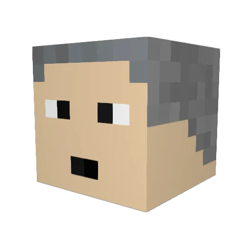 EndlessTomato Minecraft avatar head, 3D render