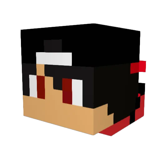 Endless_Fortress Minecraft avatar head, 3D render