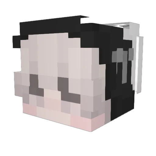 Endless_wavez Minecraft avatar head, 3D render