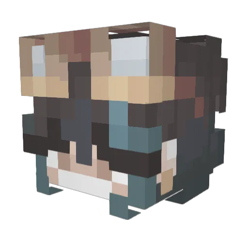 Endlesspage1550 Minecraft avatar head, 3D render
