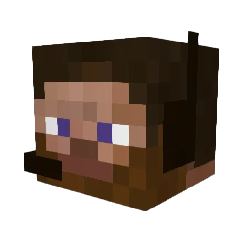 Endninja137 Minecraft avatar head, 3D render