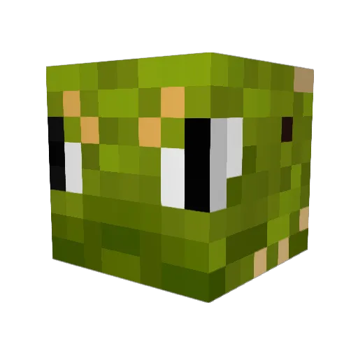 EndoGamerYT Minecraft avatar head, 3D render