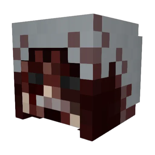 Endohusk666 Minecraft avatar head, 3D render