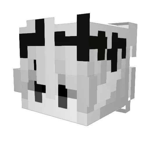 Endopoewa Minecraft avatar head, 3D render