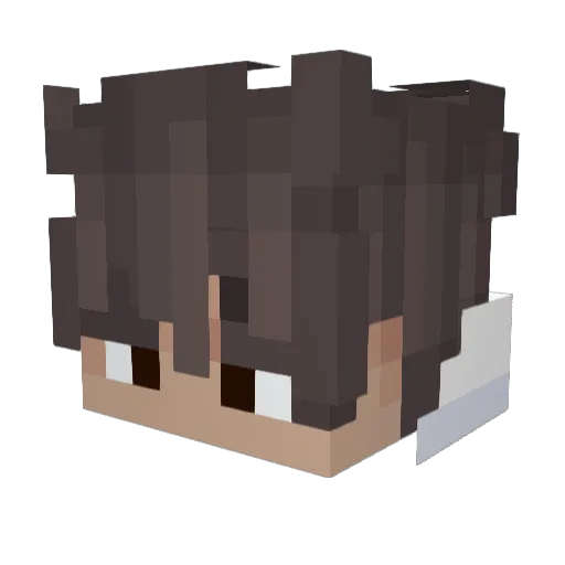 EndoroX_pl Minecraft avatar head, 3D render