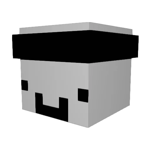 EndorsedBee5773 Minecraft avatar head, 3D render