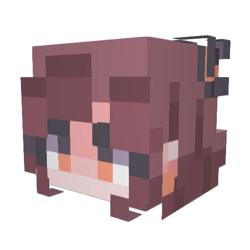 EndorsedYeti494 Minecraft avatar head, 3D render