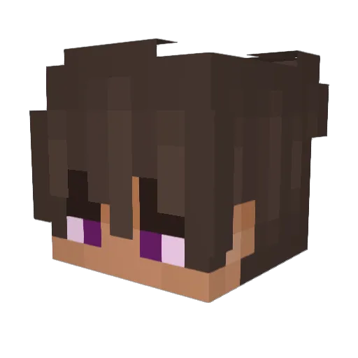 Endose Minecraft avatar head, 3D render