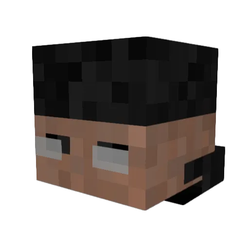 Endre4ll Minecraft avatar head, 3D render