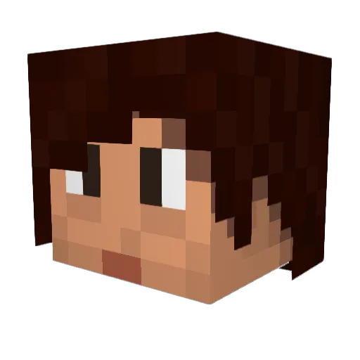 Endu5 Minecraft avatar head, 3D render