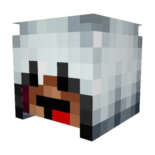EnduringMage140 Minecraft avatar head, 3D render