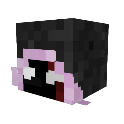 Endwise Minecraft avatar head, 3D render
