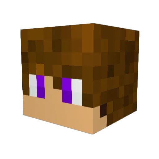 Endy_09 Minecraft avatar head, 3D render