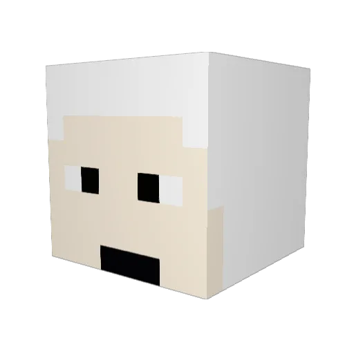 Endymion107 Minecraft avatar head, 3D render
