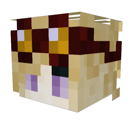 Enemien Minecraft avatar head, 3D render