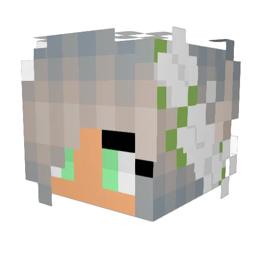 EnergeticHorse31 Minecraft avatar head, 3D render