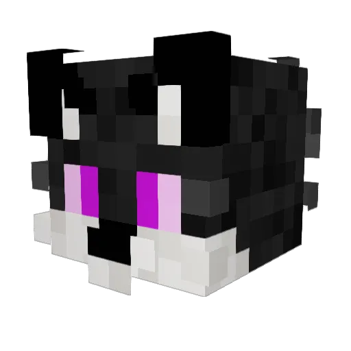 Energetik31 Minecraft avatar head, 3D render