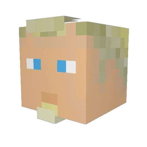 Energic_ Minecraft avatar head, 3D render