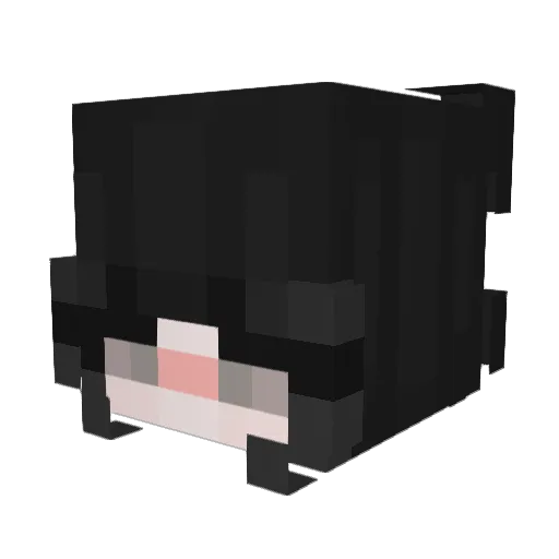 EnergyEnvy Minecraft avatar head, 3D render