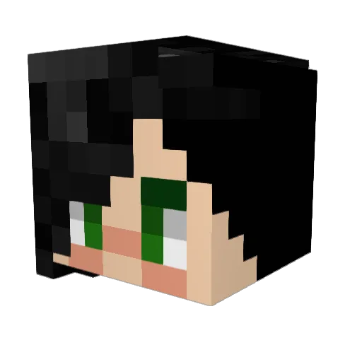 EnergyJack Minecraft avatar head, 3D render