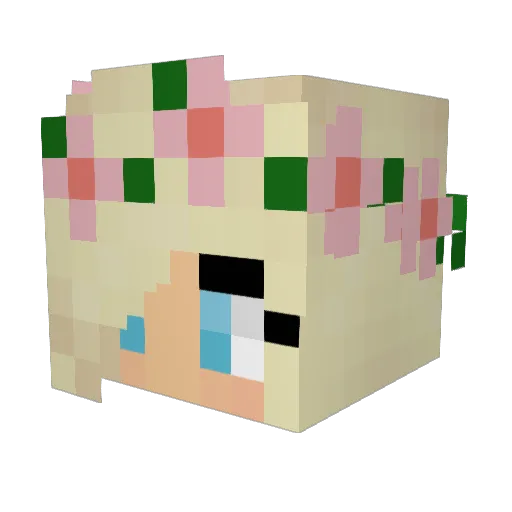 EnergyMonster3 Minecraft avatar head, 3D render