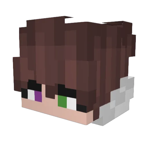 Enerwolf760 Minecraft avatar head, 3D render