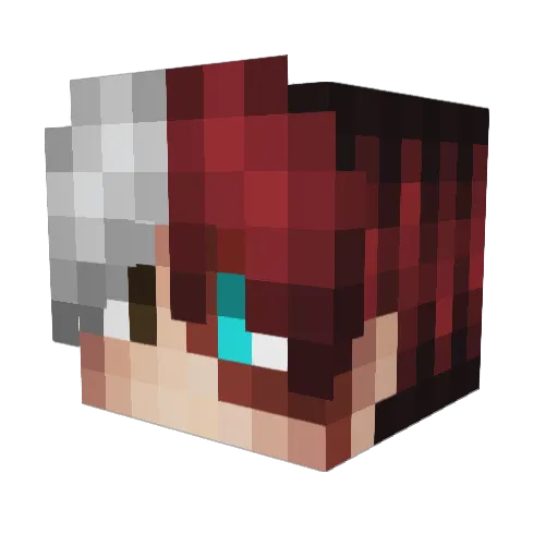 EnesSenseiOAAL Minecraft avatar head, 3D render