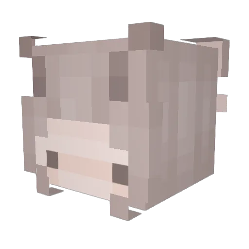 Enesqo Minecraft avatar head, 3D render