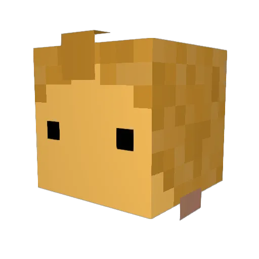 Enett Minecraft avatar head, 3D render