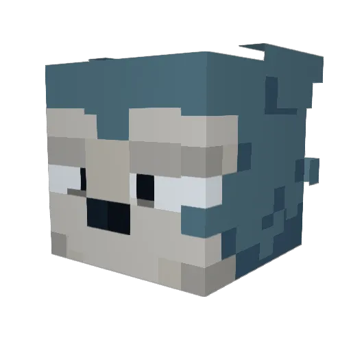 EnfantProdige_ Minecraft avatar head, 3D render