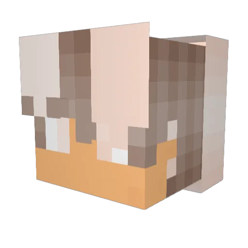 Enfirior Minecraft avatar head, 3D render
