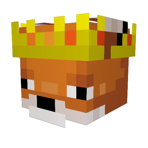 EngageMite79 Minecraft avatar head, 3D render