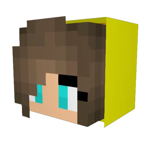 EngelsFW Minecraft avatar head, 3D render