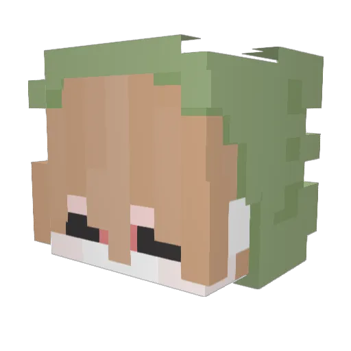 Engiepeer Minecraft avatar head, 3D render