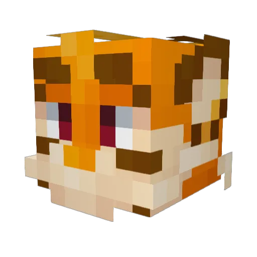 Engierka Minecraft avatar head, 3D render
