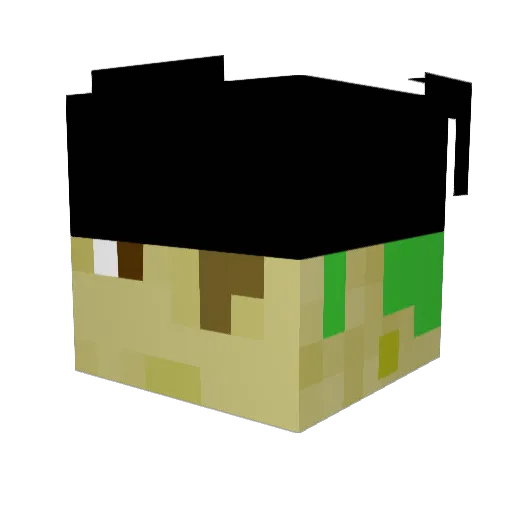 EngineerMcQueen Minecraft avatar head, 3D render