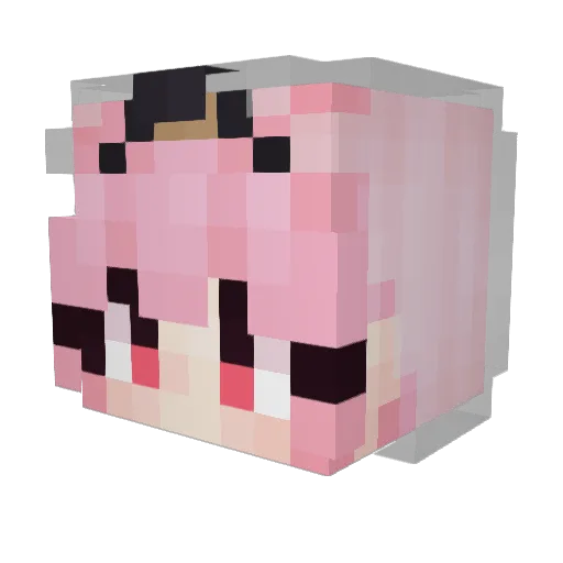 Engineer_Vinyl Minecraft avatar head, 3D render