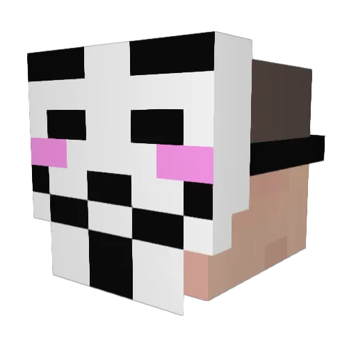Engineer_zw Minecraft avatar head, 3D render