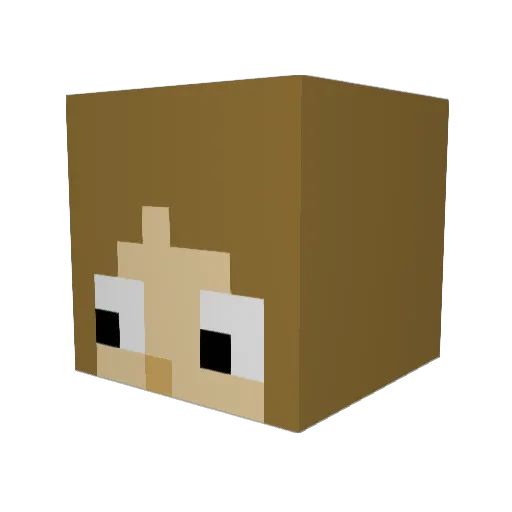 Engladpanda Minecraft avatar head, 3D render