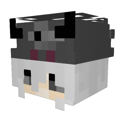 English_Pigeon Minecraft avatar head, 3D render