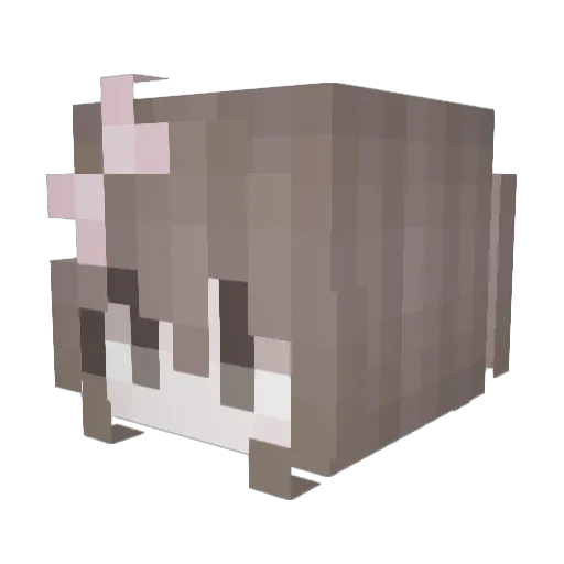 Engoll Minecraft avatar head, 3D render