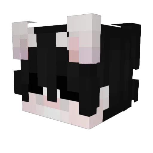Engreidoo Minecraft avatar head, 3D render