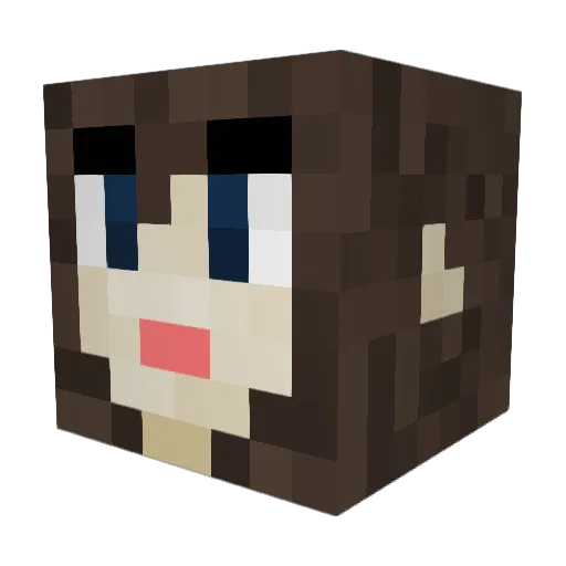 Engy_ Minecraft avatar head, 3D render