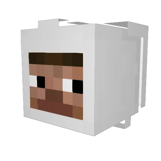 Enibras_ Minecraft avatar head, 3D render