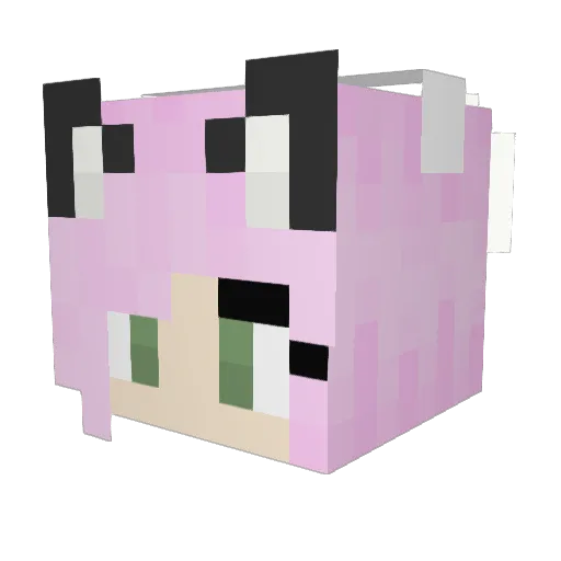 Enigma080 Minecraft avatar head, 3D render