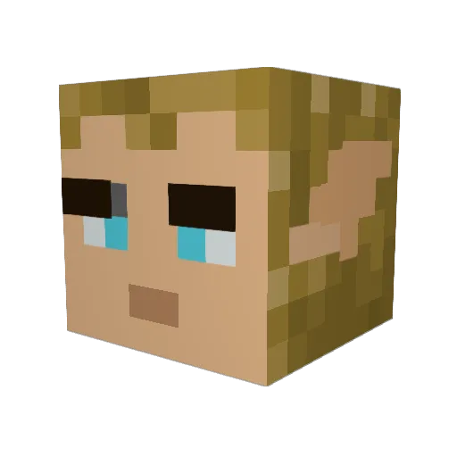 Enigma231 Minecraft avatar head, 3D render