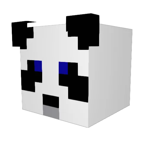 Enigma774 Minecraft avatar head, 3D render