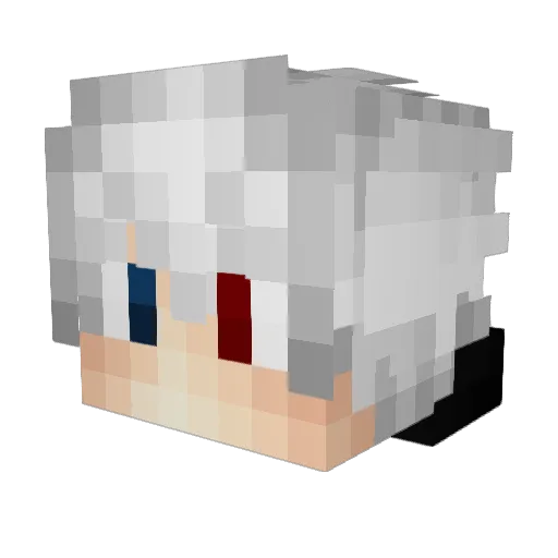 EnigmaJD Minecraft avatar head, 3D render